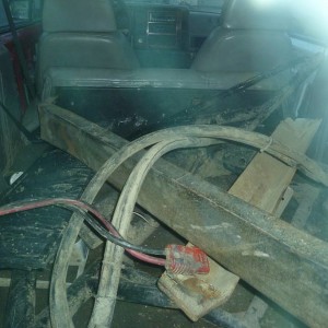 P10005051