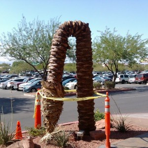 Gotta love Vegas, how does this even happen LOL