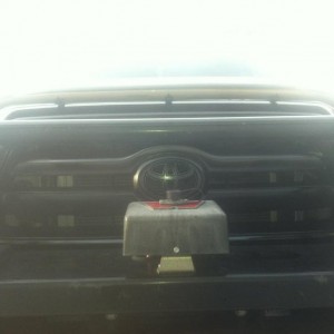 painted the grill black
