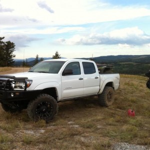 2009 Toyota Tacoma (Taco Edition)