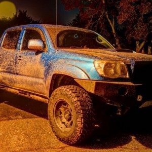 Needs a bath