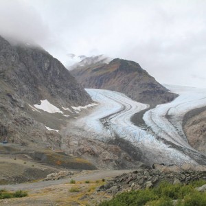 IMG_61042