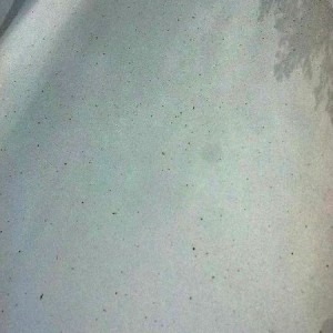 half of my truck is rusting like this, all across the drivers side. this is
