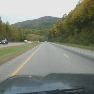 Is it just me or are the leaves changing early this year?