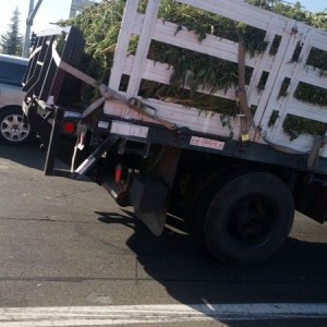 Followed this home. windows down.... lol