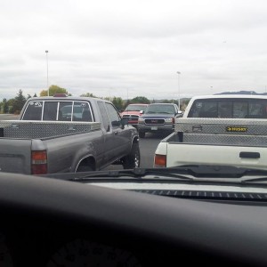 Parking lot buddies.