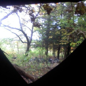The view from here.