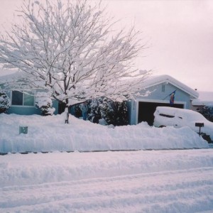 PreTaco in the snow