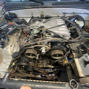 timing belt 62221