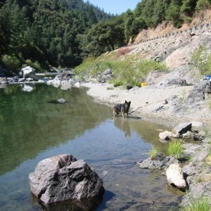 CA_Trip-2