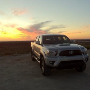 new taco