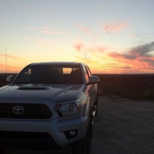 new taco