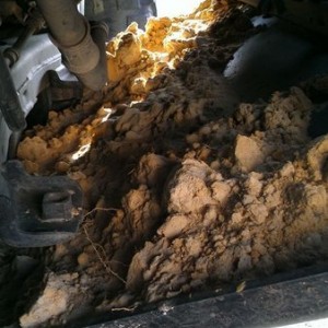 Think me skid needs cleaning