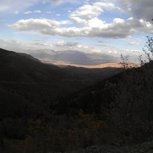 WP_000320