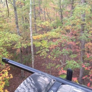 Muzzleloader opened this mornin. Already let one walk...luckily for it. Cou