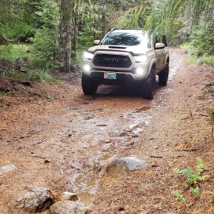 Some trail.. Mt Hood