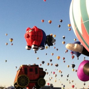 Spider pig!