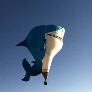 I'm a shaaaarrk I'm a shark
