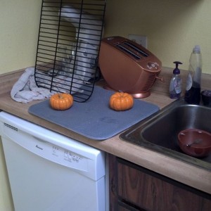 Pumpkin carving time!