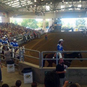 It's rodeo time!