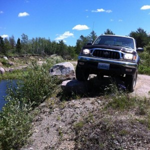 Flexing on a rock