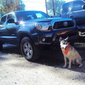 New Taco