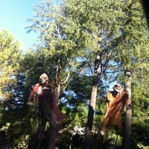 My neighbor goes a little nuts @ Halloween which I like. This is only the b