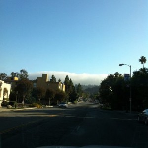 Fog creepin in