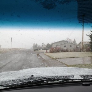 First TITs this year.