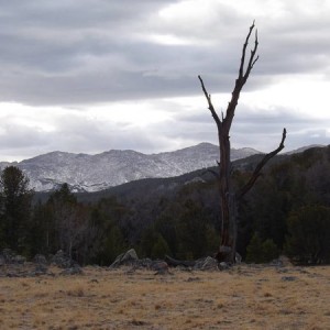 DSCF07191