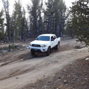 good rut