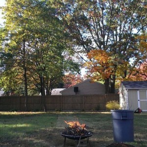 1/2 way done pre fall clean up