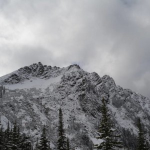 DSC_0628