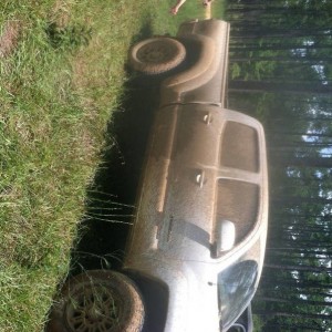 Muddy