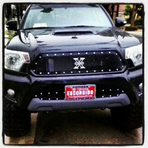 T-rex grill