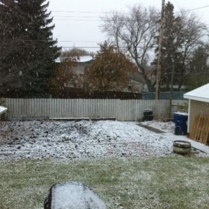 Our first snow in Sask!