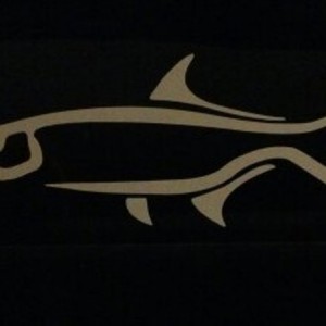 tarpondecal