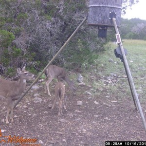 Doe_718