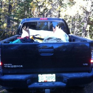 Long bed fits a bull moose AND gear!!!