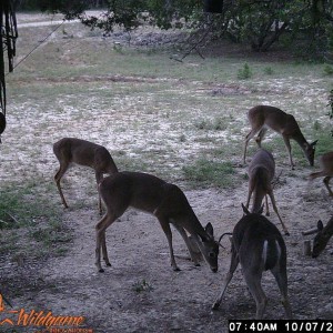 WGI_0249