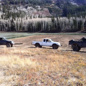Forest Lake Run!