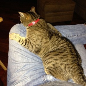 Are you comfy? Good, I'm glad.