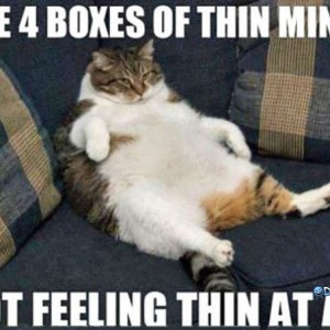 thin-mints