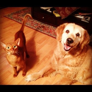 Ramsey and Tobie