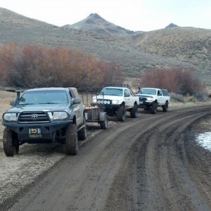 Wood run