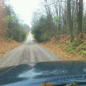 This message is brought to you by Rogers Turkey's on the road