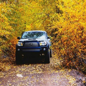 2008 Toyota Tacoma