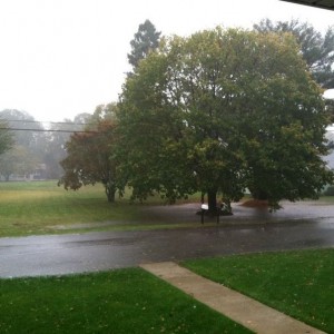 From my porch. Not to bad at my house.