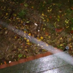 Water is up to deck. Got 5 more inches till taco tires get wet or deck floa