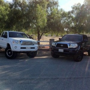 New vs Old